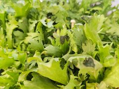 -渔舟意·湖南家宴(萝岗纳金城店)