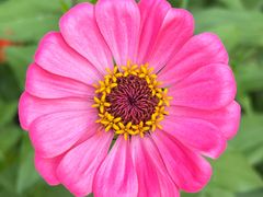 -花开海上生态园