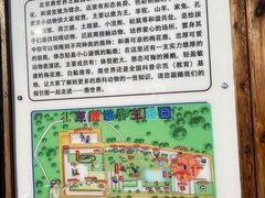 -北京鹿世界主题园