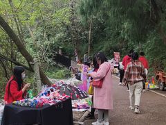 -仙海旅游度假区