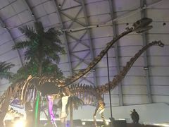 -辽宁古生物博物馆