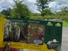 -中国科学院西双版纳热带植物园