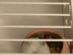 -龙猫仔乐园(惠福东路店)