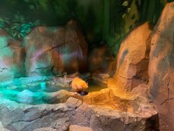 -酷嗒动物文化乐园(cutezoo西溪乐天城店)