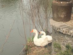 -长兴岛郊野公园农场食堂