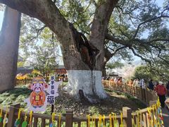 -新安江山水画廊风景区