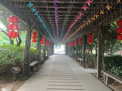 -白马涧龙池景区