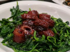 草头圈子-新南华大酒店(广中店)