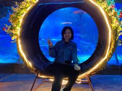 -沈阳海洋探索中心