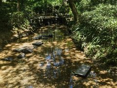 -杭州半山国家森林公园