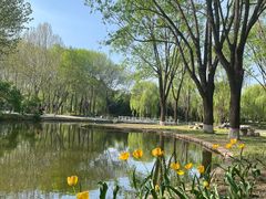 -石家庄市植物园