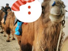 -敦煌莫高国际机场