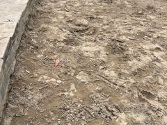 -杭州城北体育公园