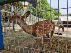 -武汉紫薇都市田园