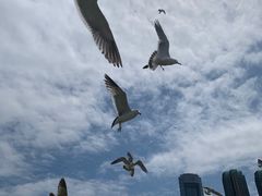 -星海广场