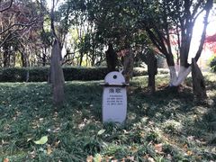 -圩墩遗址公园