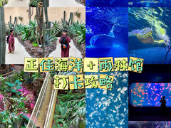 -正佳极地海洋世界