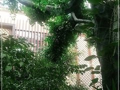 -滕头生态酒店(奉化店)