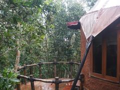 亚龙湾人间天堂-鸟巢度假村-三亚亚龙湾人间天堂鸟巢度假村