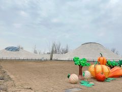 -中国天府农业博览园