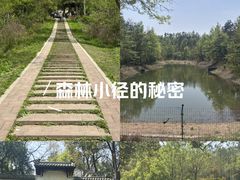 -青龙山国家森林公园
