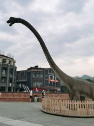 -恐龙探索乐园(磁器口店)