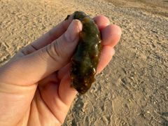 -大连铂尔曼酒店-铂尔曼美食廊 Pullman Deli