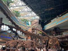 -安徽省地质博物馆