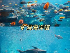 -长鹿旅游休博园