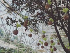 -证大喜玛拉雅中心