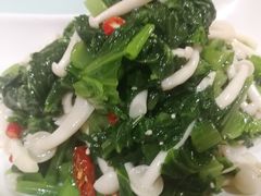 -粗茶淡饭•陕菜•家常菜