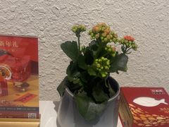 -旺顺阁鱼头泡饼(小红门店)