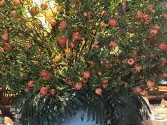 -八府香鸭·啫啫煲(华山路店)