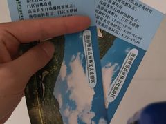 -呀诺达热带雨林