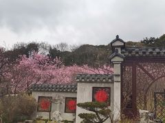 -无锡梅园公园