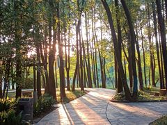 -东湖落雁景区