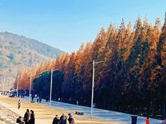 -南京金牛湖风景区