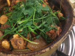 招牌家鸡煲-渝君重庆火锅(嘉宾路店)