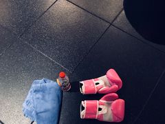 拳击沙袋-威尔仕健身(虹桥南丰城店)