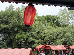 -侨美·唐荔园·40年地道粤菜