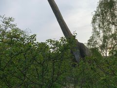 -自然谷恐龙园