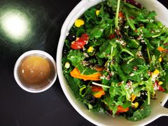 -百好乐宠物友好餐厅(朝外大街店)