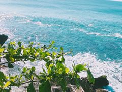 -Rock Bar Bali(Bali)