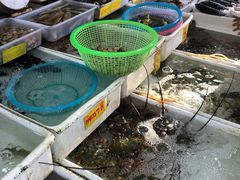 -拉威海鲜市场