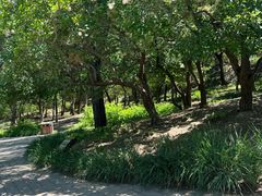 -元大都城垣遗址公园