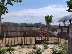 -河北村民俗体验园