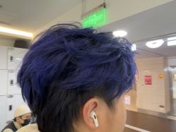 -HaLo hair studio