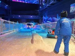 -世界之窗阿尔卑斯冰雪世界