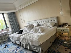-长安先导国际创新人才交流中心