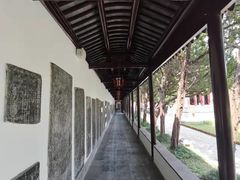 -苏州文庙(姑苏区)